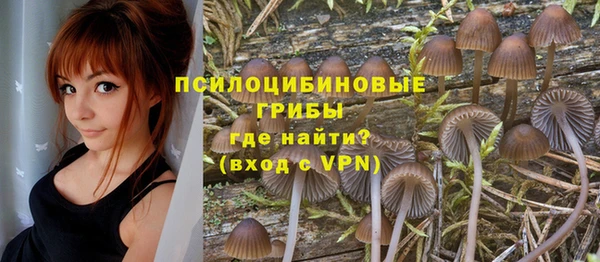 бошки Гусь-Хрустальный