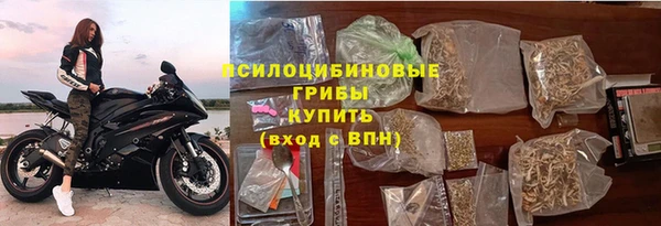бошки Гусь-Хрустальный