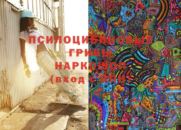 бошки Гусь-Хрустальный