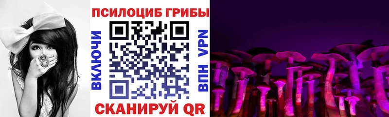 Купить закладки  Домодедово  Псилоцибиновые грибы Psilocybine cubensis